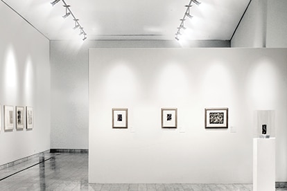 Samsung LEDs a white gallery lighted up with white mid-power lights